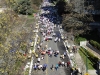 Z - Vancouver Sun Run 10K - 15
